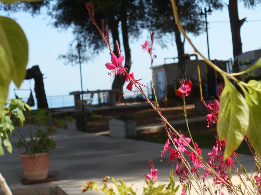 Brunello Seaside Apartments Lefkada City Ngoại thất bức ảnh